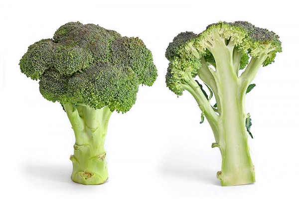 Broccoli and cross section edit